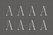 Aida | 10 Font Ligature Serif, a Font by Silktype (Thumbnail 6 of 20)