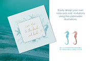 Underwater Illustrations, an Illustration by Maggie Stilwell Design (Thumbnail 2 of 8)