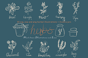 Herbal Illustrations/Icons, a Food Illustration by Mindful & Curious Design (Thumbnail 1 of 3)