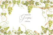 Watercolor Grapes, a Food Illustration by MayaNavits (Thumbnail 1 of 15)
