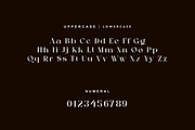 Egraqs - Luxury Serif Font, a Serif Font by QR Design Studio (Thumbnail 8 of 15)