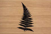 50 Fern Leaf Silhouette Clipart Set, an Illustration by Artivon (Thumbnail 3 of 4)