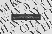 Mylierka - Serif Font (11 Fonts), a Serif Font by Maculinc Type (Thumbnail 3 of 15)