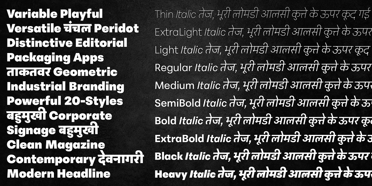 Peridot Devanagari, a Sans Serif Font by Foundry5 (Photo 3 of 10)