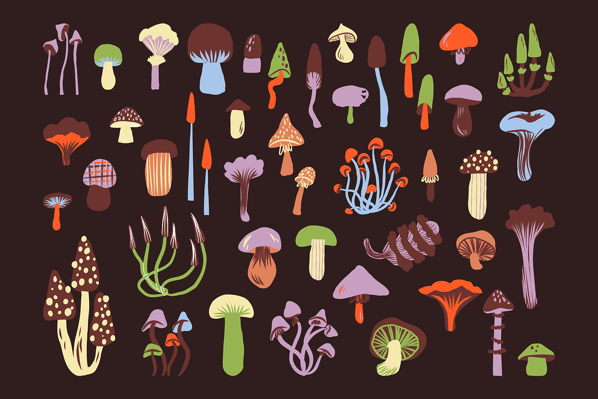 Mushrooms clipart PNG and vector, a Healthcare Illustration by Paper Cherry (Photo 3 of 12)