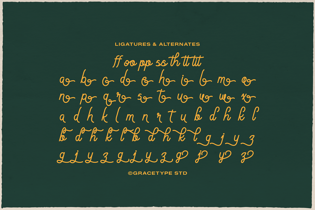 Meptora | Monoline Script, a Script Font by gracetype_studio (Photo 11 of 12)