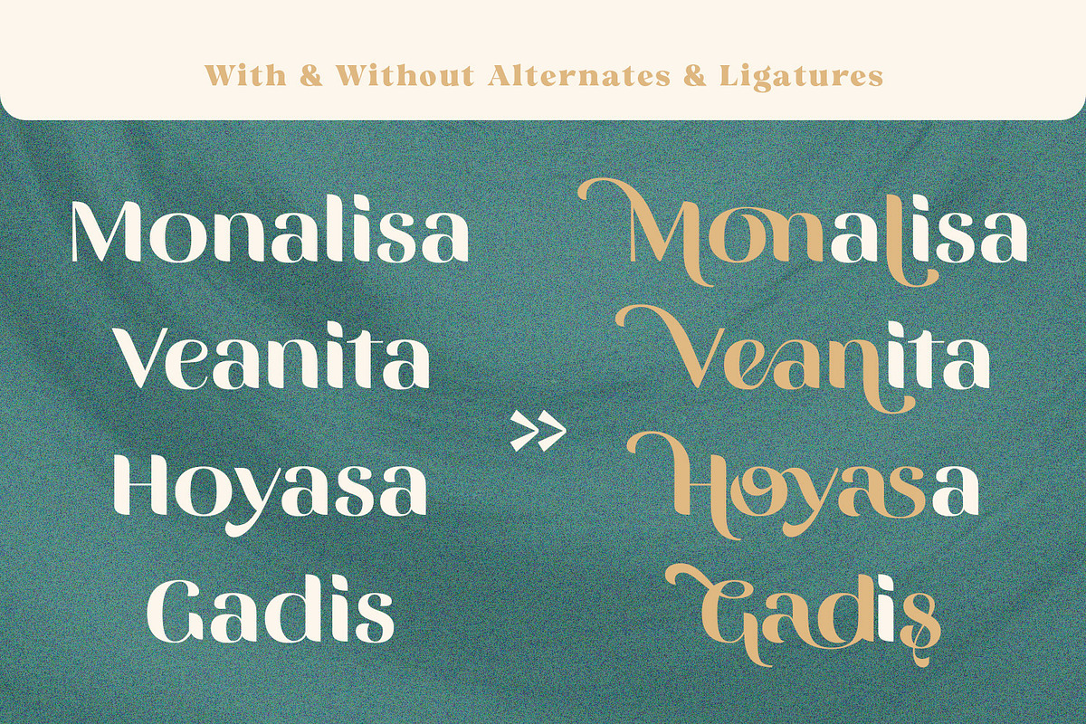 Vittasoa – Modern Display Typeface, a Serif Font by Almarkhatype (Photo 14 of 15)