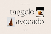 Bulgari - Modern Font, a Serif Font by Sans & Sons (Thumbnail 7 of 10)