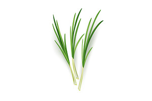 A vibrant bunch of green, an Object Illustration by Things for designers