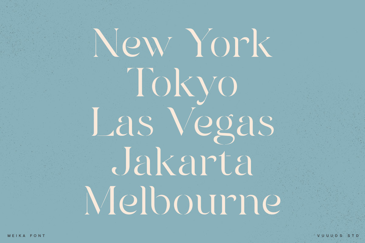 Meika Font, a Serif Font by vuuuds (Photo 8 of 10)