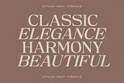 Mosaic Melodies - Stylish Serif, a Serif Font by Typeskets (Thumbnail 4 of 11)
