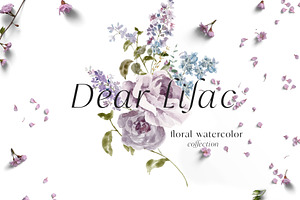 Floral Lilac Watercolor Collection