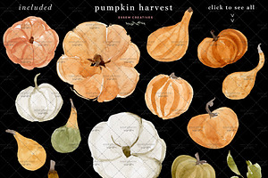 Pumpkin Harvest Thanksgiving Clipart