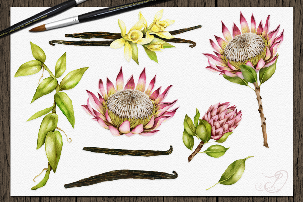 Tropical Big Pack Watercolor Clip, a Decorative Illustration by DioFlow (Photo 6 of 26)