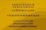 Badelosh Ralintesla Modern Font Duo, a Serif Font by Storytype Studio (Thumbnail 12 of 15)