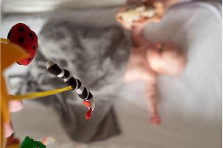 Caucasian baby lies alone in his, a Person Photo by Koldunova