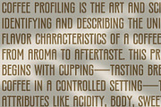 Silverandes; Condensed Display Font, a Font by Eko Bimantara (Thumbnail 8 of 12)