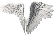 set of photorealistic angel wings, an Object Graphic by itakdalee (Thumbnail 6 of 11)