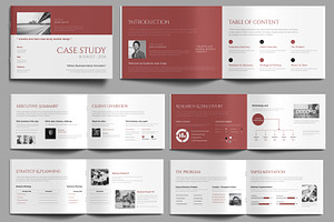 Professional Case Study Template, a Stationery Template by MightyDesign