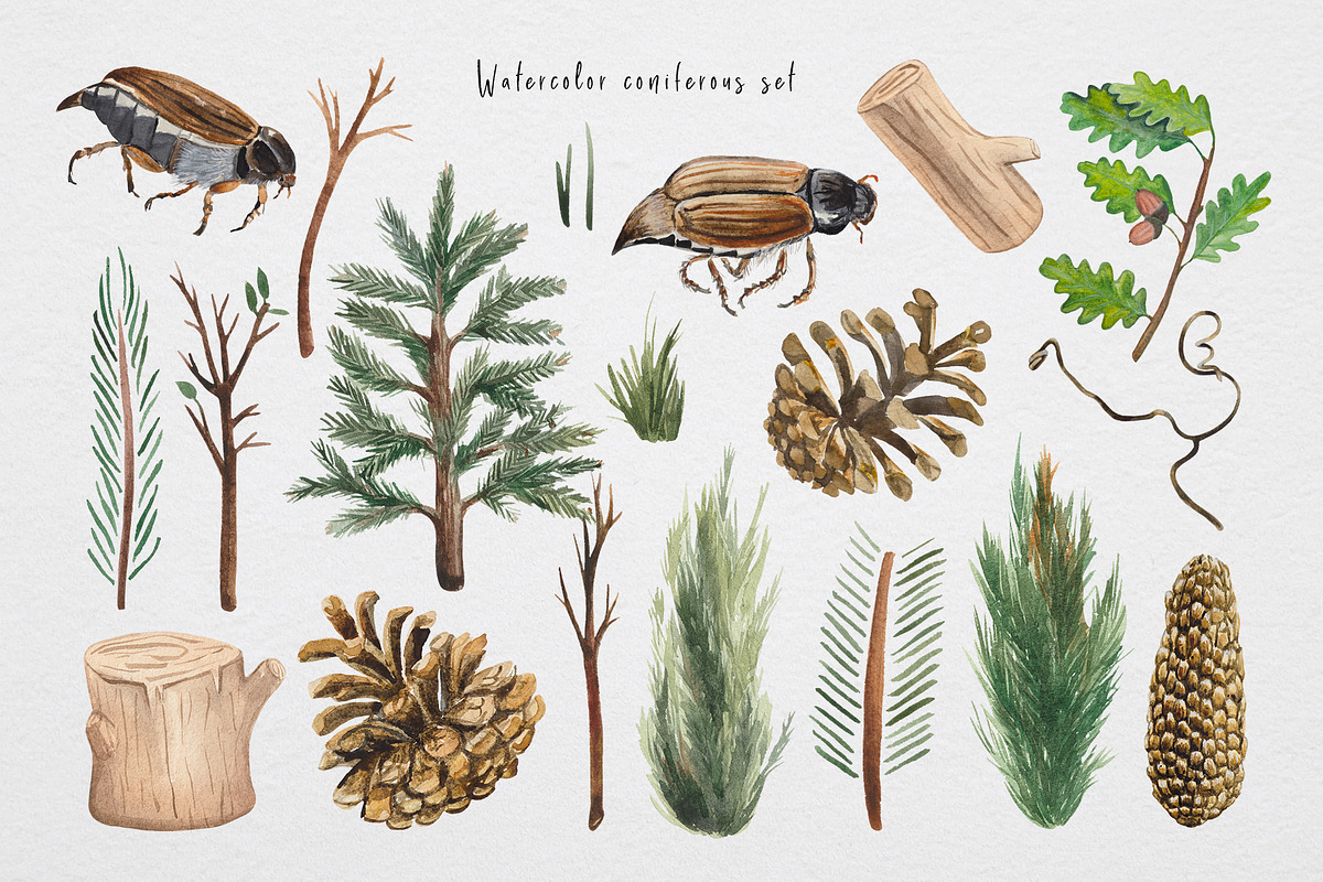 Hiking trails, a Decorative Illustration by Design X0 (Photo 5 of 16)