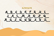 Saifullah - Arabian Typeface, a Handwritten Font by Dhabee (Thumbnail 4 of 15)