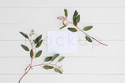A2 Card Mockup - Eucalyptus 5, a Print Template by ILLONA GRAPHICS (Thumbnail 1 of 5)