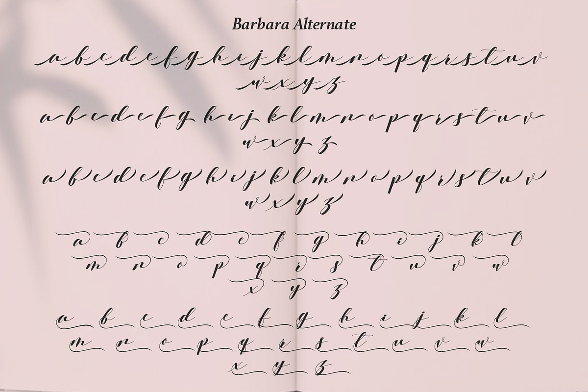 Barbara - A Classy Script Font, a Script Font by Aksapix Studio (Photo 8 of 11)