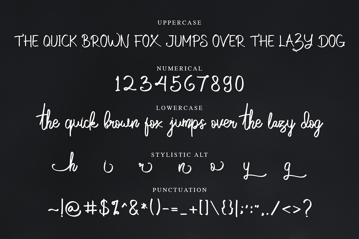 Cobain Aja - Script Font, a Script Font by NTC Graphic (Photo 5 of 6)