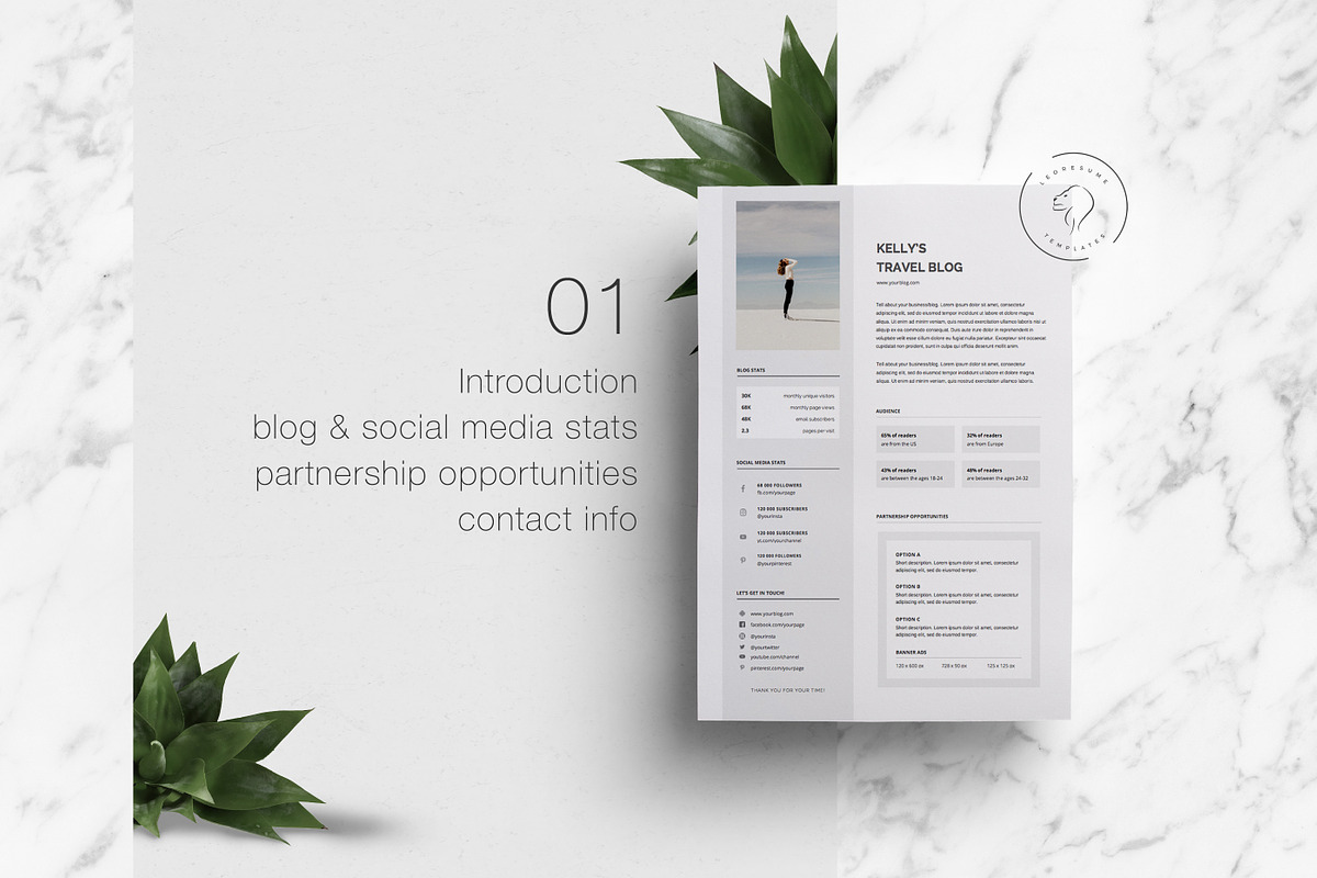 Blog Media Kit - 1 Page, a Resume Template by Leo Resume (Photo 3 of 5)
