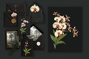 Hand drawn vector orchids, a Decorative Illustration by FleurArt (Thumbnail 6 of 11)