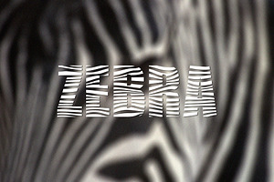 Zebra Sans Serif