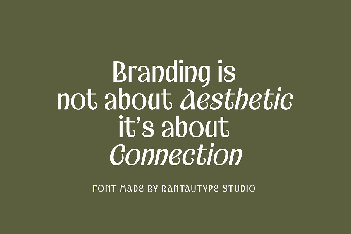 Bekola Modern Display Font, a Serif Font by RantautypeStudio (Photo 5 of 17)