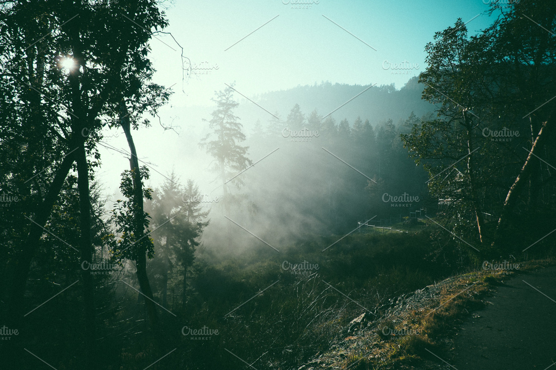 Fog Stock Photo