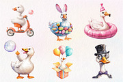 Silly Goose Sublimation Clipart, an Illustration by CreationArt (Thumbnail 5 of 5)