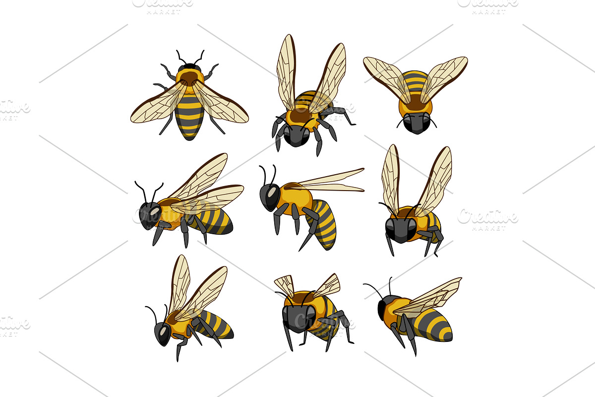 Cute cartoon bees flying and buzzing, an Animal Illustration by pikepicture