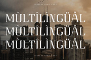 Gaines Display Serif Font, a Serif Font by Storytype Studio (Thumbnail 12 of 14)