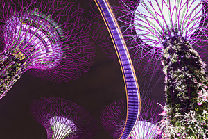Gardens by Bay, a Photo by saiko3p