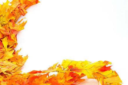 Fall border or element with pumpkins preview 6