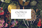 Exótica, Luxury Pattern design!, a Pattern Graphic by TSTUDIO (Thumbnail 1 of 14)