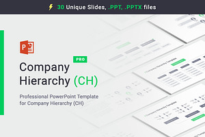 Company Hierarchy PowerPoint