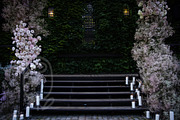 A Garden of Roses | Wedding, Events, a Nature Photo by Farewell (Thumbnail 12 of 41)