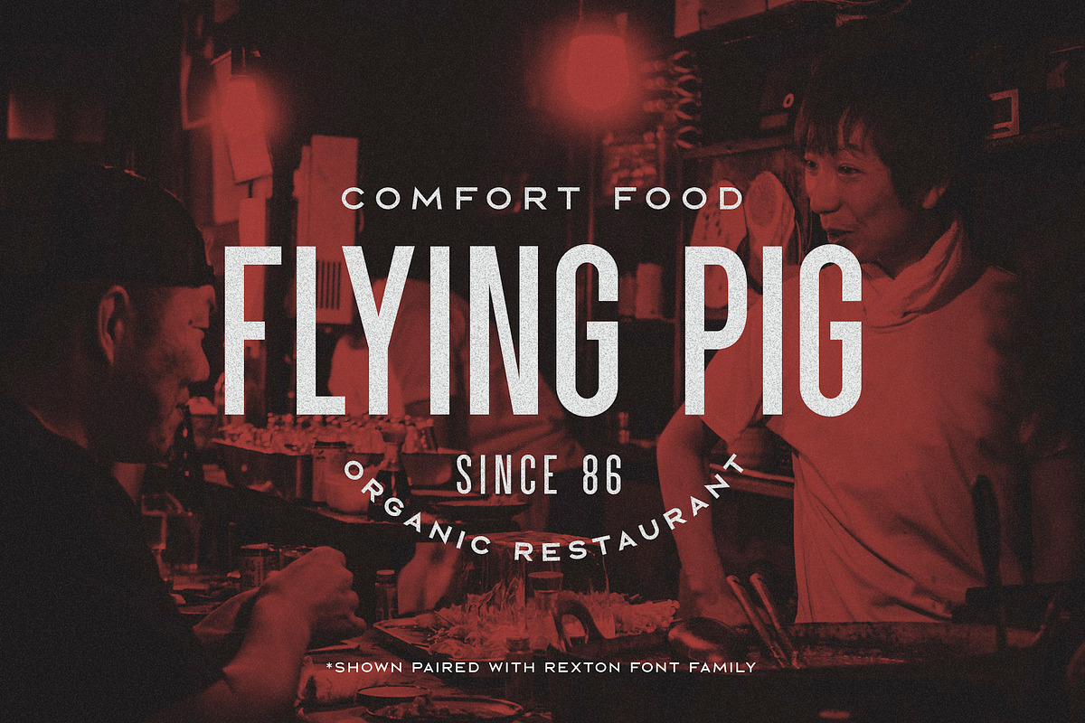 Parkson Sans Serif - 18 Fonts preview 8