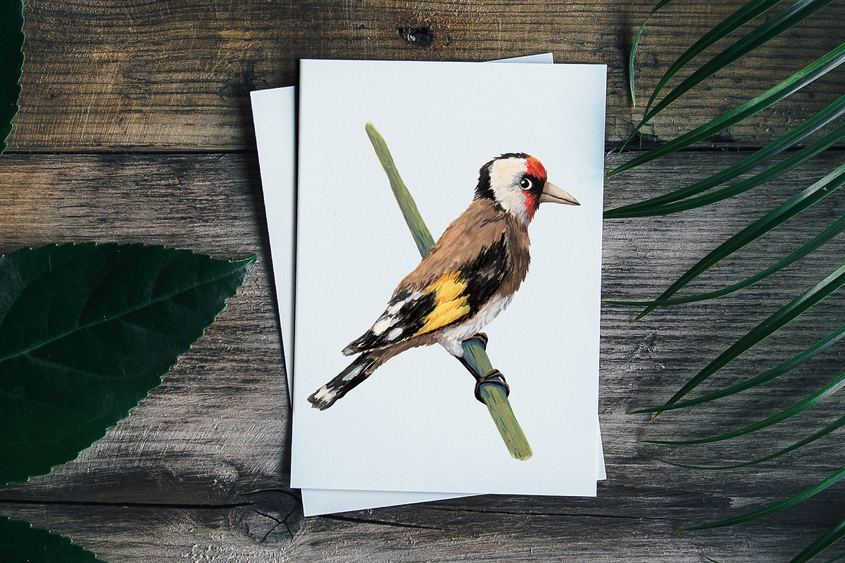 Forest Birds - Gouache Clipart Set, an Animal Illustration by Mashamashastu (Photo 8 of 11)