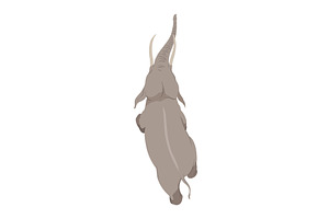 Flat vector elephant in poses, an Animal Illustration by the8monkey