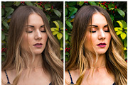 Vibrant Lightroom Presets, a Preset Add-On by artboard1 (Thumbnail 3 of 7)