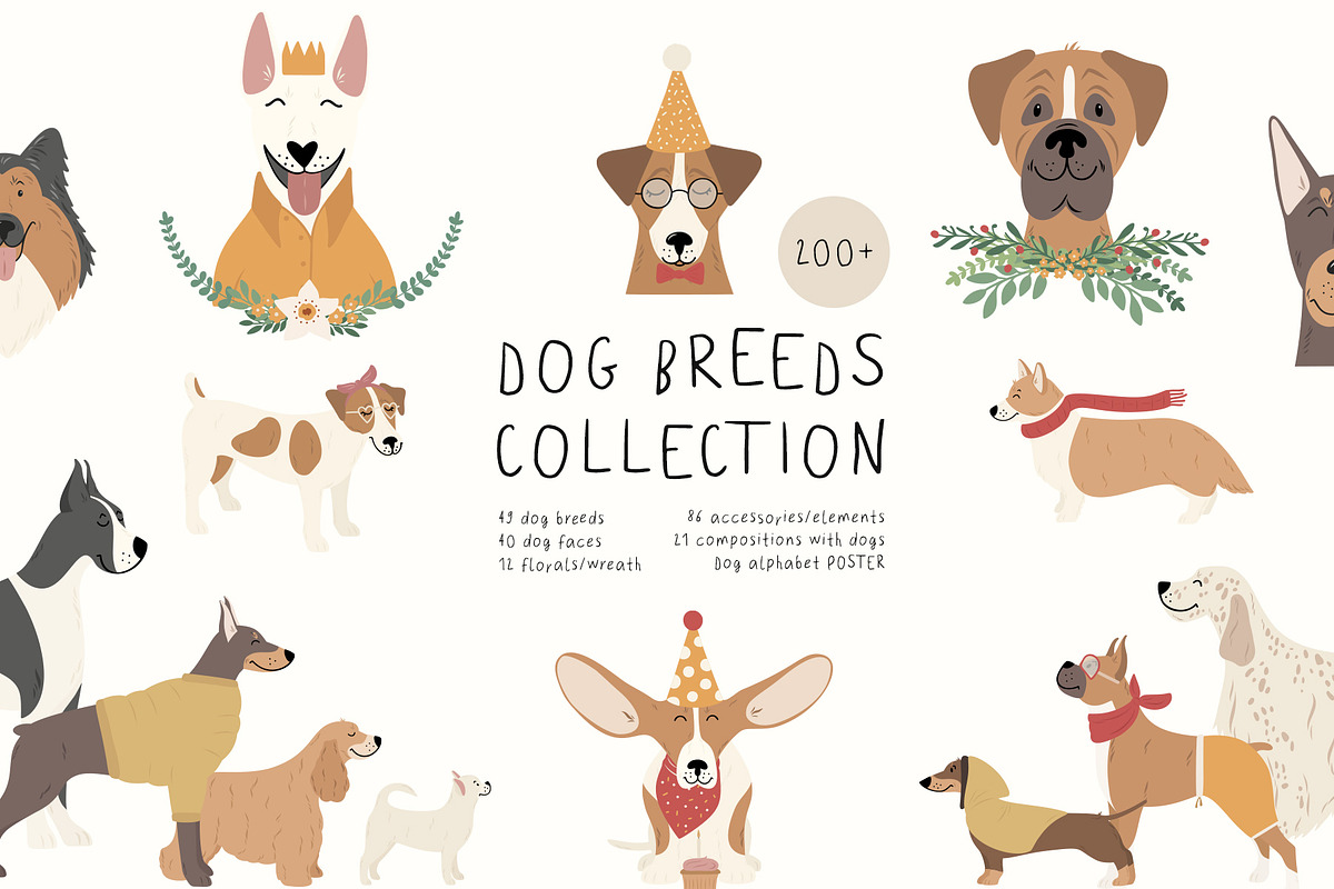 DOG Breeds collection, an Animal Illustration by Alisovna (Photo 1 of 14)