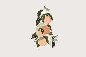 Orange tree branch vector