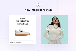 Bra Store - Shopify Multipurpose