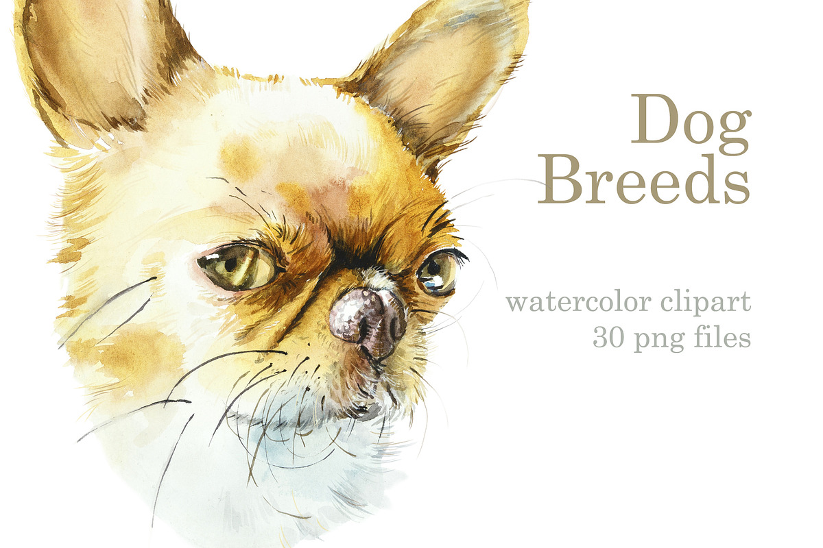 Watercolor dogs. Different Breeds, an Animal Illustration by Budogoshch (Photo 1 of 6)