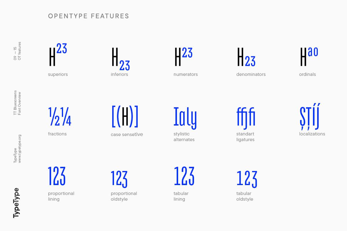 TT Bluescreens, a Sans Serif Font by TypeType (Photo 9 of 15)